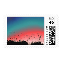 Birds flying High Stamps