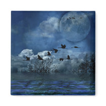 Birds flying in the night magnets