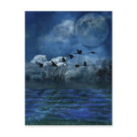 Birds flying in the night post cards