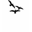 birds-flying-silhouette t-shirts