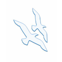 Birds Flying t-shirts