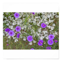 Birds Foot Morning Glory and woolly tidestr posters by Harpalus22 Birds Foot Morning Glory and woolly tidestr posters