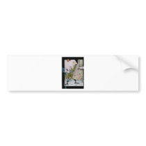 Birds from A to L Bumper Sticker