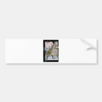 Birds from A to L bumper stickers
