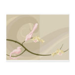birds in a blossoming tree postcards
