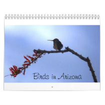 Birds in Arizona Calendars
