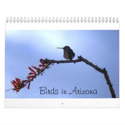 Birds in Arizona Calendars by ServiceDriven