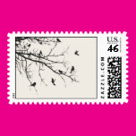 Birds in Black and White Postage