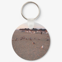 birds in cabo san lucas keychains