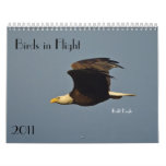 Birds in Flight 2011 Calendar