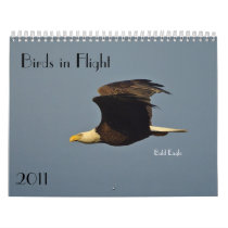 Birds in Flight 2011 Calendar