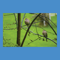 Birds in Oil after the spring rain posters