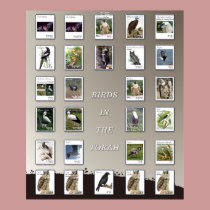 Birds in the Bible posters