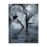 Birds in the night post cards