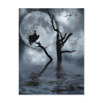 Birds in the night post cards