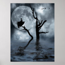 Birds in the night posters