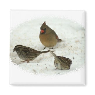Birds in the Snow magnet
