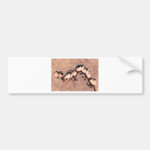 birds in the winter bumper stickers