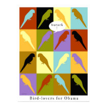 Birds love Obama poster posters