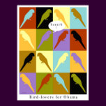 Birds love Obama poster