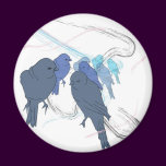 birds