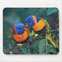 Birds mousepads