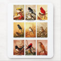 Birds mousepads