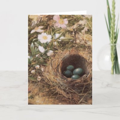 Bird's Nest and Dogroses by John William Hill Greeting Card