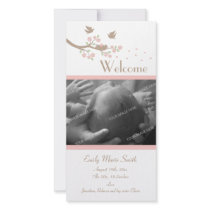 Birds Nest Birth Announcement Picture Card
