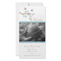Birds Nest Birth Announcement Photo Cards