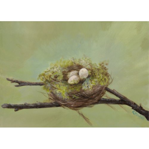 Bird's Nest Card card