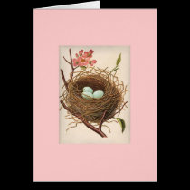 birds nest cards