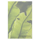 Bird's Nest Fern stationery