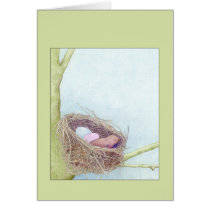 Bird's Nest Green Card