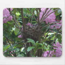 Bird's Nest in Rhododendron Bush mousepads