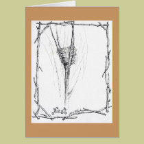Birds Nest in Winter sketch in ink cards