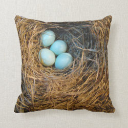 Birds Nest Pillow
