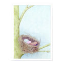 Birds Nest posters