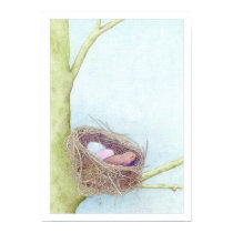 Birds Nest posters by floatinglemons Birds Nest posters