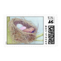 Birds Nest Stamp