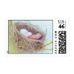 Birds Nest Stamp