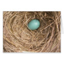 Birds' Nest (West Virginia) cards