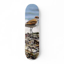 Birds Oceans Beaches skateboards by lifesphere Birds Oceans Beaches skateboards