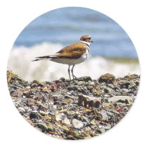 Birds Oceans Beaches stickers