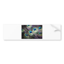 Birds of a Feather Bumper Stickers