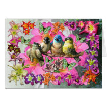 Birds Of A Feather cards