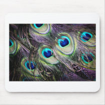 Birds of a Feather Mouse Pads