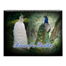 Birds of a Feather Peacock Calendar