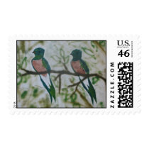 Birds of a Feather postage by Darklotr Birds of a Feather postage