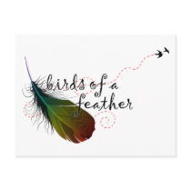 birds of a feather. postcards by chromatosis birds of a feather. postcards
